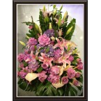 CBF-021
